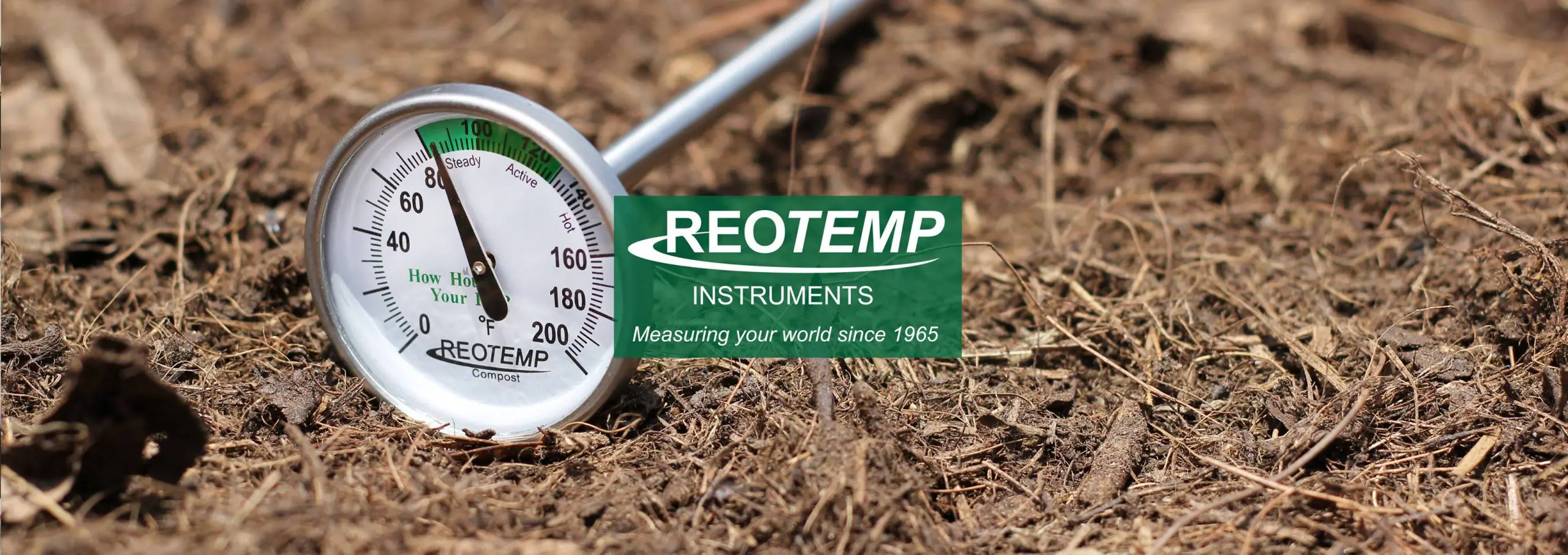 daily-reotemp