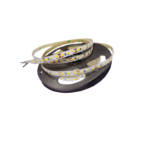 LED Dây LB-S120C2835-40K