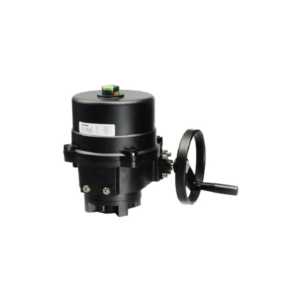 Bộ Điều Khiển Bằng Điện EOM - FLOWINN