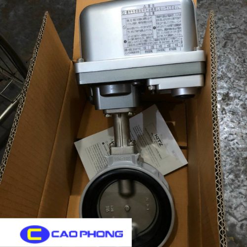 Hình ảnh thực tế của van bướm nhôm điện EXS/EXH200-10XJMEA
