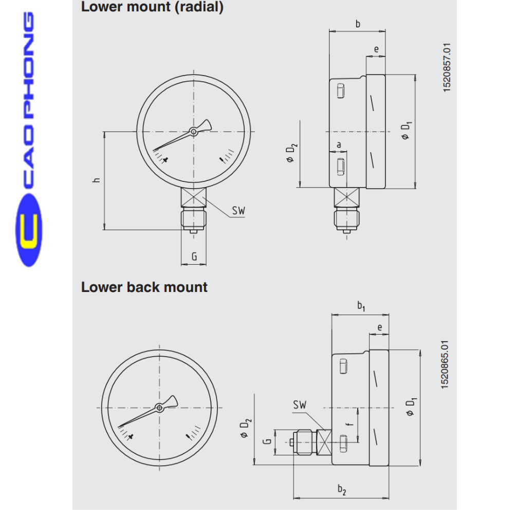 WIKA-Model-212.20