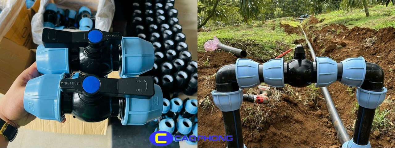 van-hdpe