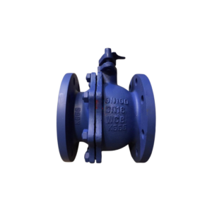 Van bi thép 2PC nối bích PN16
