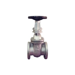 Van Cổng Gang RINCO FIG 073R