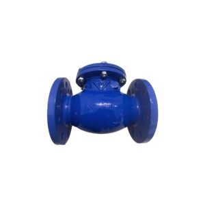Van một chiều lá lật DN50 (Phi 60) Samwoo