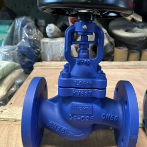 Van Cầu Thép GS-C25 Mặt Bích DIN PN16