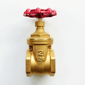 Van cổng (van cửa) đồng KITZ FH - CLASS 125, kết nối ren/hàn