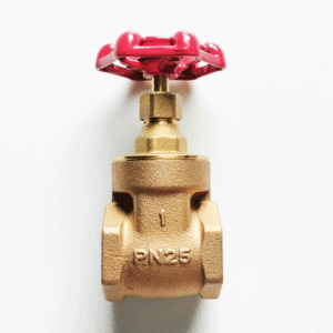 Van cổng (van cửa) đồng KITZ PN25S - PN25 cao áp, kết nối ren BSPT/PT