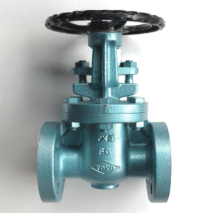 Van cổng gang TOYO 425J - JIS10K ty nổi, kết nối bích JIS10K