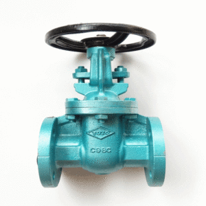 Van cổng gang TOYO 420AF - JIS10K ty nổi, kết nối bích JIS10K