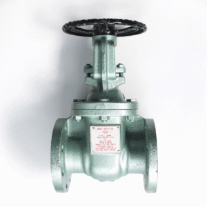 Van cổng gang TOYO 500B - PN16 ty nổi, kết nối bích PN16