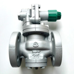 Van giảm áp VENN RP6-G - pilot, bích JIS10K, gang/INOX, áp ra 0.03-0.8 MPa, 184°C