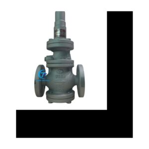 Van Giảm Áp Hơi YOOYOUN RDP-1F DN25 Nối Bích JIS10K