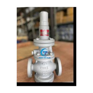 Van Giảm Áp Hơi YOOYOUN RDP-1F DN20 Nối Bích JIS10K