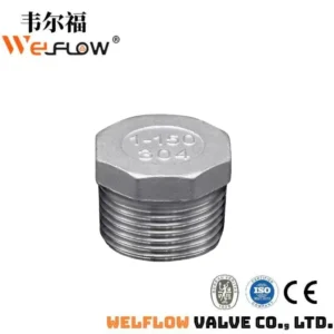 Nút Bịt Ren Ngoài Inox 304 (Hex Plug) - Cao Phong