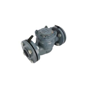 Đồng Hồ Nước ASAHI WVM50 DN50 Nối bích