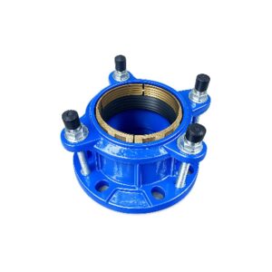 Khớp nối mềm BE ngàm đồng - Cao Phong AZ