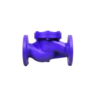 Van 1 Chiều Gang Joeun Chữ Ngã DIN PN16