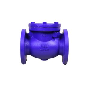 Van 1 Chiều Lá Lật Beize PN16 DN50-DN300