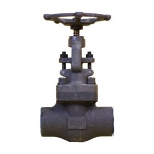 Van Cầu Thép Rèn 800LB Kết Nối Ren