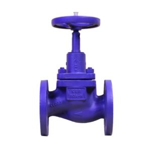 Van Cầu KSB Bellow Sealed PN25