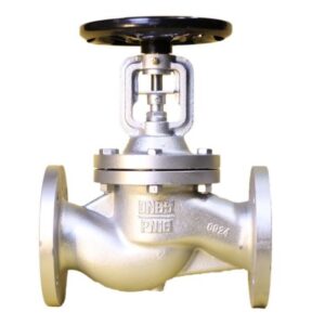 Van Cầu Gang Mann Bellow Seal PN16