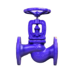 Van Cầu Gang Zetkama Ba Lan PN16