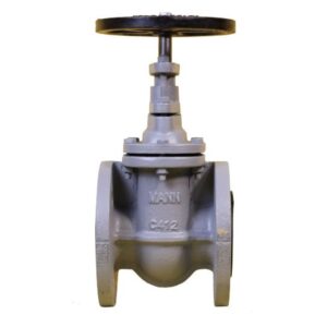 Van Cổng Mann Ty Chìm PN16