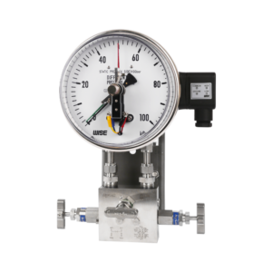 Đồng hồ áp suất WISE P651 P652
