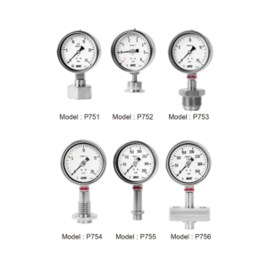 Đồng hồ áp suất WISE P751-P756