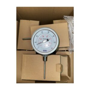 Đồng Hồ Đo Nhiệt Độ Italy Chân Đứng Phi 100 Inox 316 0-350°C