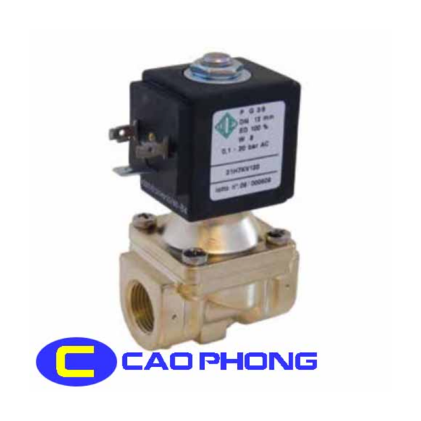 Van điện từ ODE 21H8KE120