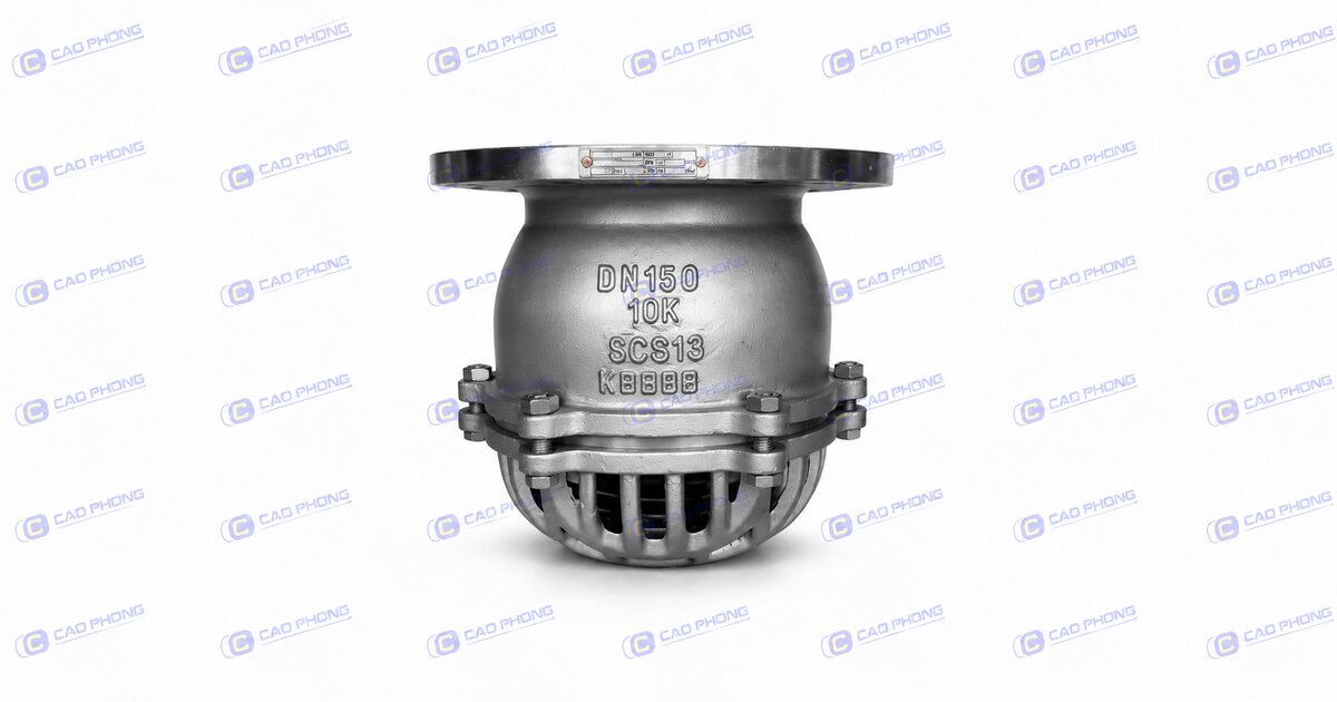 Rọ bơm inox 304 Era nối bích JIS10K - Cao Phong