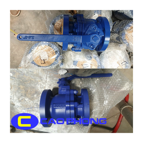 Van bi gang JOEUN nối bích PN16