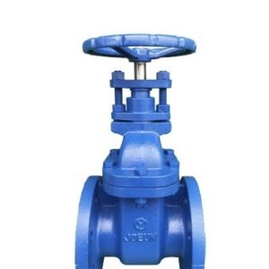 Van Cổng Ty Chìm Mặt Bích JIS 10K JOEUN - Cao Phong
